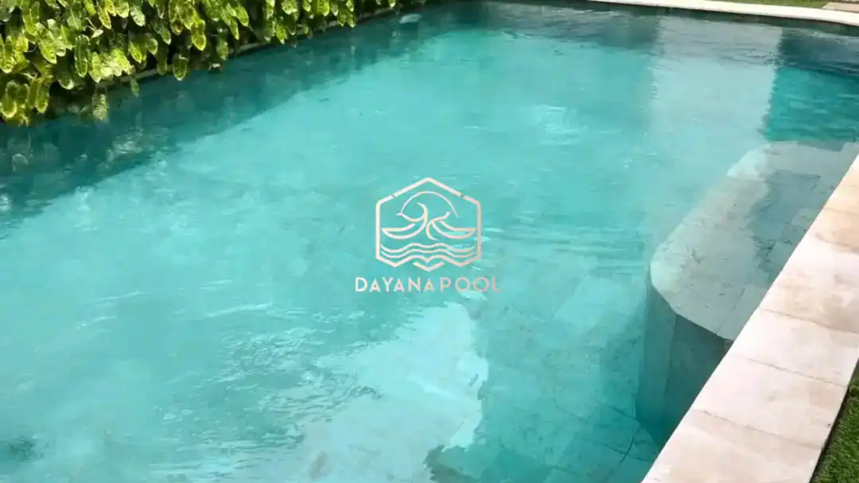 kolam renang dengan hiasan taman dinding