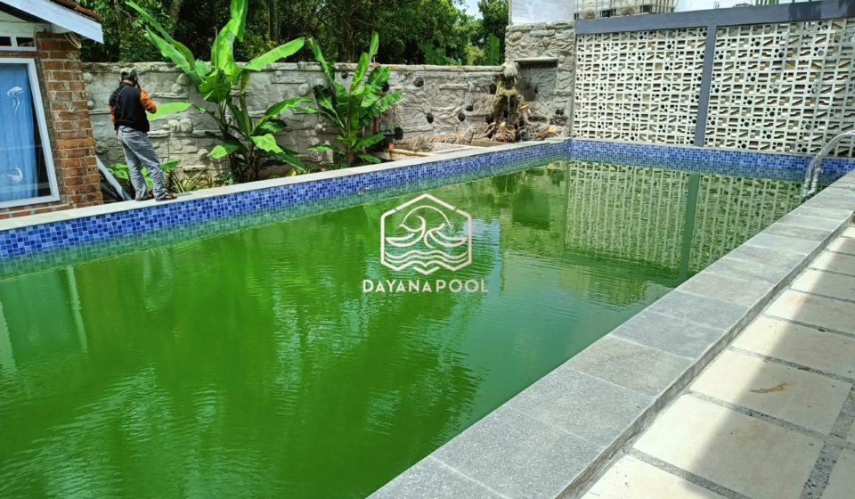 kolam renang yang tidak terawat dan air yang berlumut